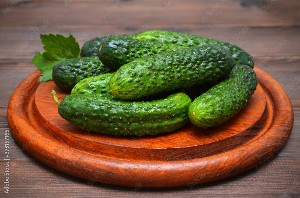 delicious fresh cucumbers on a wooden board close-up delicious fresh cucumbers on a wooden board close-up