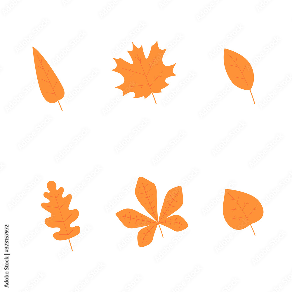 autumn leaves set. leaf collection
