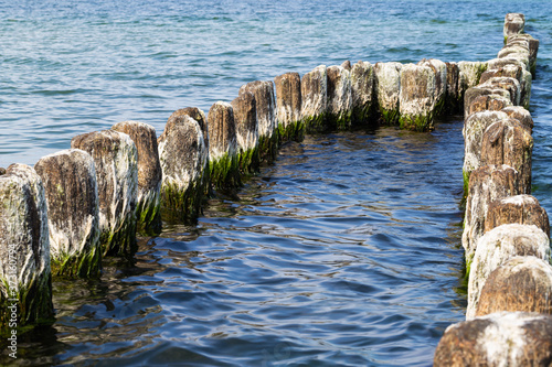 Wooden breakwater on the Balitic sea photo