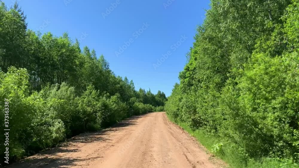 Driving on empty country road passing through a mixed forest with pines and treeson a sunny summer day Driving on empty country road passing through a mixed forest with pines and treeson a sunny summer day