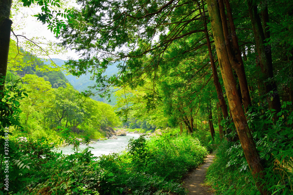 御岳渓谷/Mitake gorge 御岳渓谷/Mitake gorge