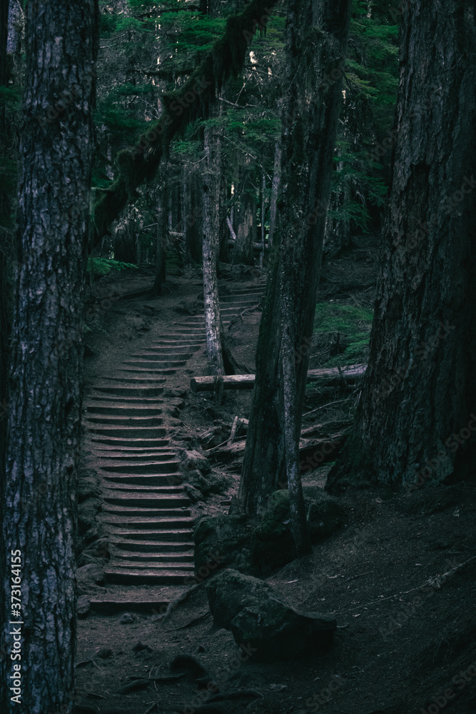 Waterfall Trail in Oregon