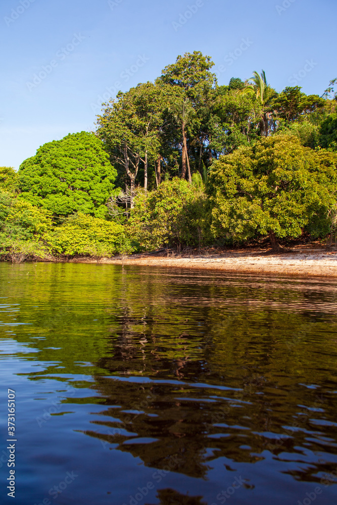Fototapeta premium Amazon forest river
