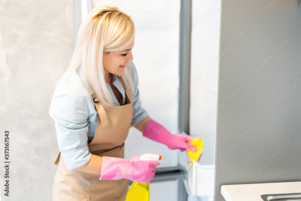 Cute housewife cleaning the kitchen Cute housewife cleaning the kitchen