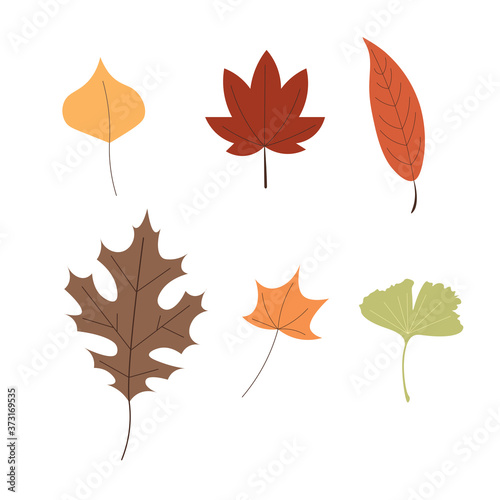 autumn leaf set. leaf collection
