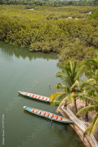 Selva de Makasutu y río Gambia photo