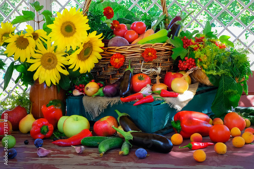 Still life of vegetables, fruits, herbs and flowers on a wooden table in the gazebo. Summer still life.