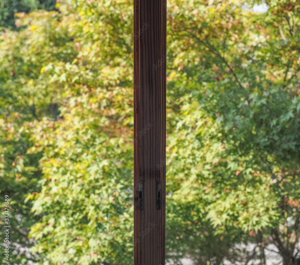 Fototapeta premium View from a window