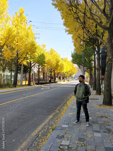 Indian tourist wearing an olive bomber jacket and dark blue jeans poses on a side-walk filled with yellow ginkgo trees during the fall season- 30th Oct 2018