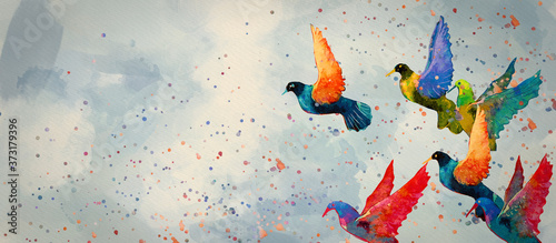 Birds. Watercolor background, design element