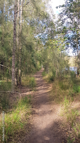 Walking Trail through Australian Bush. On the Hawkesbury Trail New South Wales