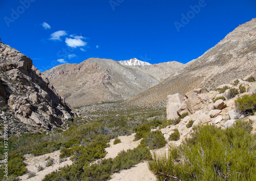 Landscape shot of the Cochiguaz Valley which is a secondary valley of the Elqui Valley photo