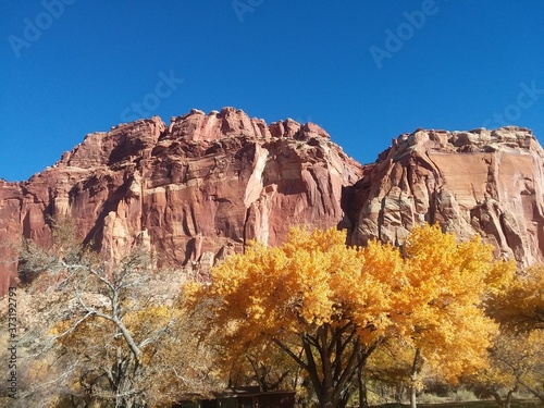 Capitol Reef National Park 4