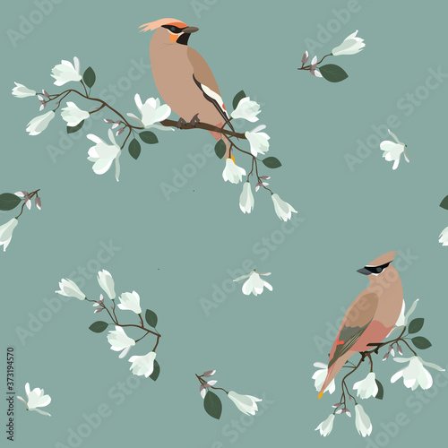 Seamless vector illustration with white magnolia flowers and waxwing