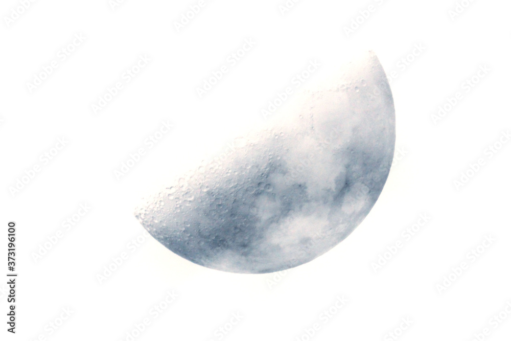 Close up of half moon texture Close up of half moon texture