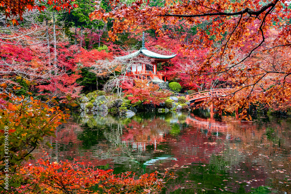 Bentendo Hall among Red Maple Trees in the Garden of Daigoji Temple in autumn, Kyoto, Japan