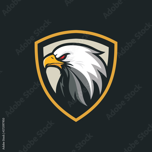 Hand drawn of Eagle head , Eagle mascot for t-shirt , Sport wear ,logo, emblem graphic, athletic apparel stamp