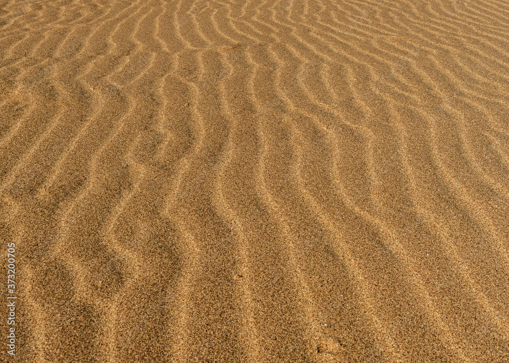 The desert floor reflects a history of seasonal rains and wind moving the sand about, creating beautiful abstract patterns like these sand ripples The desert floor reflects a history of seasonal rains and wind moving the sand about, creating beautiful abstract patterns like these sand ripples