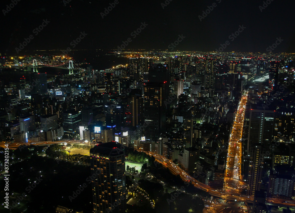 Fototapeta premium Amazing night view of Tokyo City - View from Tokyo Tower.
