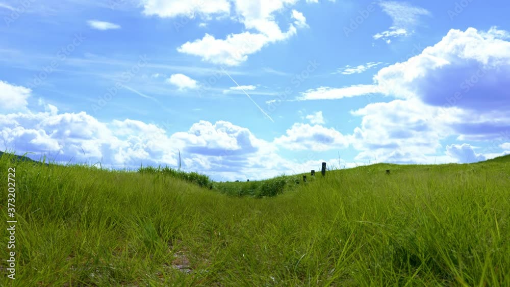 Scenery of Nara-Soni Highlands in midsummer Scenery of Nara-Soni Highlands in midsummer