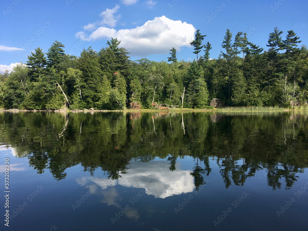 Trees reflected in the water at McGrath Pond, a pretty lake in Maine on a sunny day with clouds Trees reflected in the water at McGrath Pond, a pretty lake in Maine on a sunny day with clouds