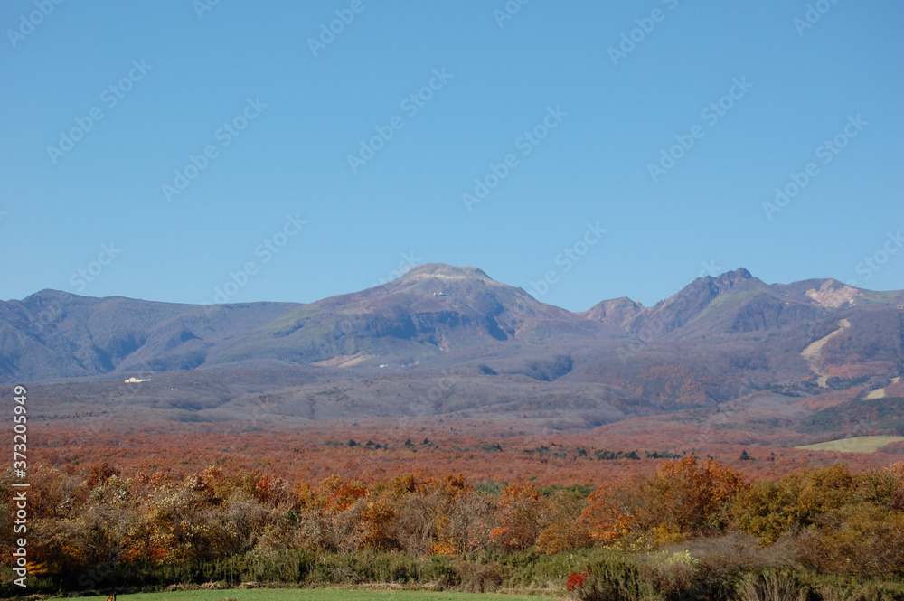 紅葉した林越しに望む秋の那須岳（茶臼岳、朝日岳）