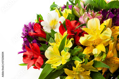 Alstroemeria, commonly called the Peruvian lily or lily of the Incas. Close up of colorful bouquet photographed in studio  photo