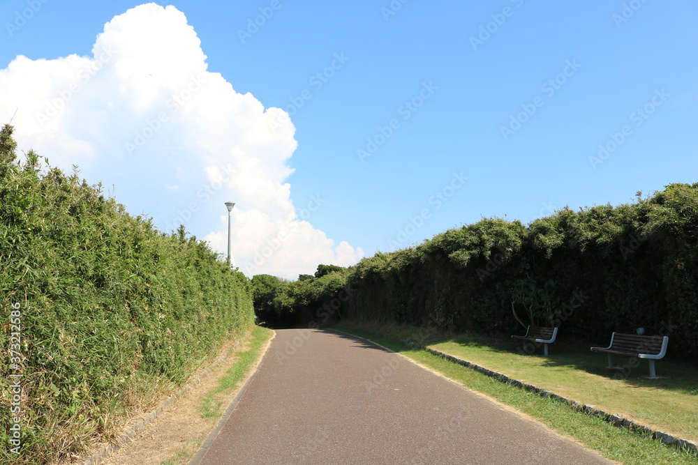 神奈川県三浦半島の南端にある城ヶ島公園の遊歩道と夏の雲