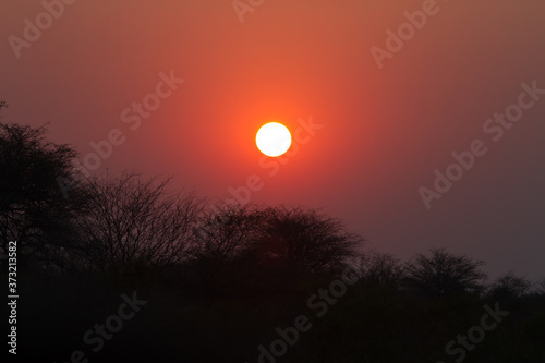 african sunset © Vivienne