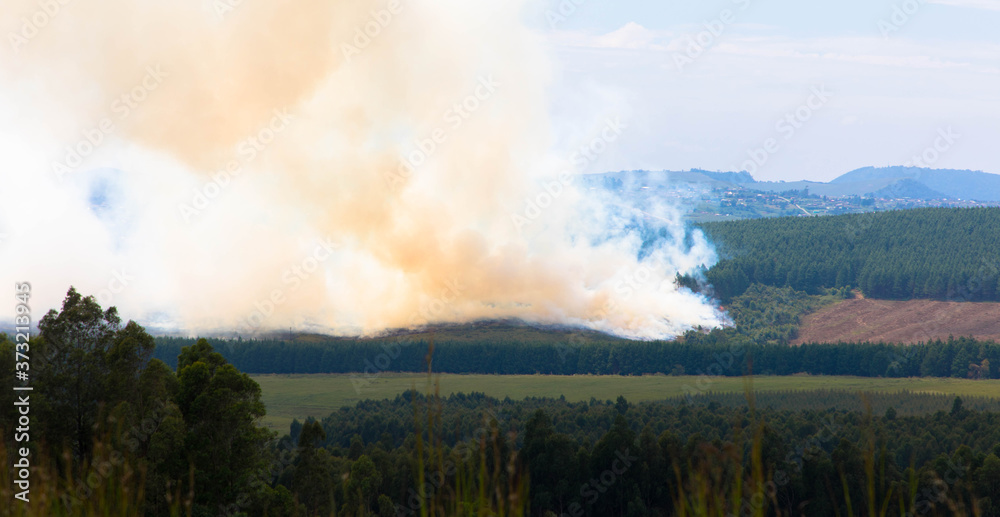 Smoke from wildfire over agricultural landscape, Mpumalange province  South Africa