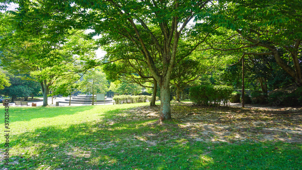 Naklejka premium 長谷ダム記念公園