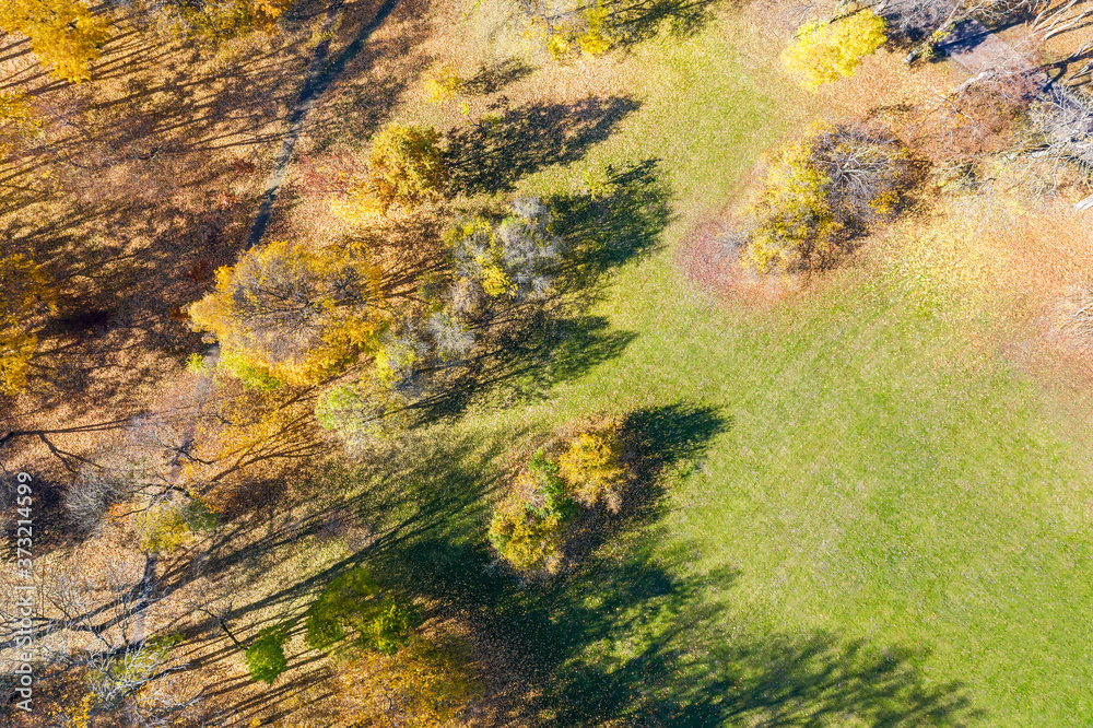aerial view of autumn park landscape with colorful trees at sunny day 