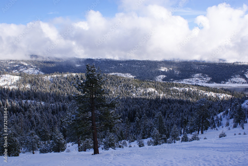 Amador County in the Winter