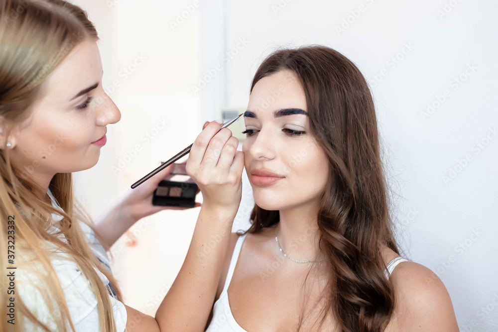 Makeup artist makes makeup for a girl indoors. Make-up artist makes makeup for a girl. Beautiful woman face. Make up in process. Makeup artist makes makeup for a girl indoors. Make-up artist makes makeup for a girl. Beautiful woman face. Make up in process.