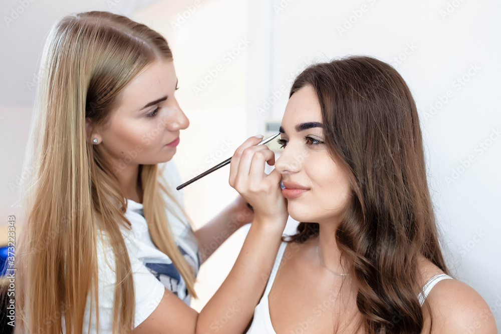 Makeup artist makes makeup for a girl indoors. Make-up artist makes makeup for a girl. Beautiful woman face. Make up in process. Makeup artist makes makeup for a girl indoors. Make-up artist makes makeup for a girl. Beautiful woman face. Make up in process.