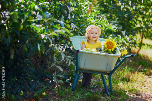 Adorable toddler girl in straw hat sitting in wheelbarrow on a farm