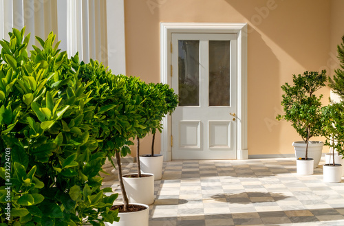 The entrance to the building is decorated with floor tiles, citrus trees in flower pots and columns. Horizontal orientation, selective focus.