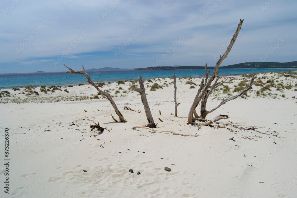 Veduta delle dune e della spiaggia di Arenas Biancas Veduta delle dune e della spiaggia di Arenas Biancas