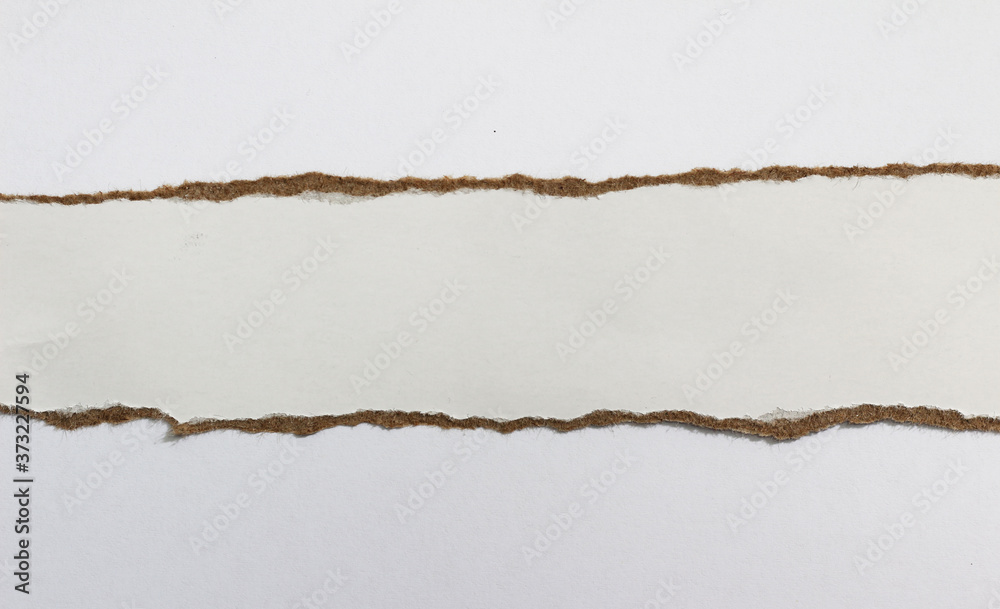 pieces of torn paper texture background and have copy space for design in your work. pieces of torn paper texture background and have copy space for design in your work.