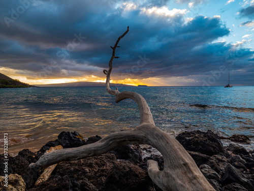 Palms on the shore. Large boulder among the waves in the sea. Hawaii