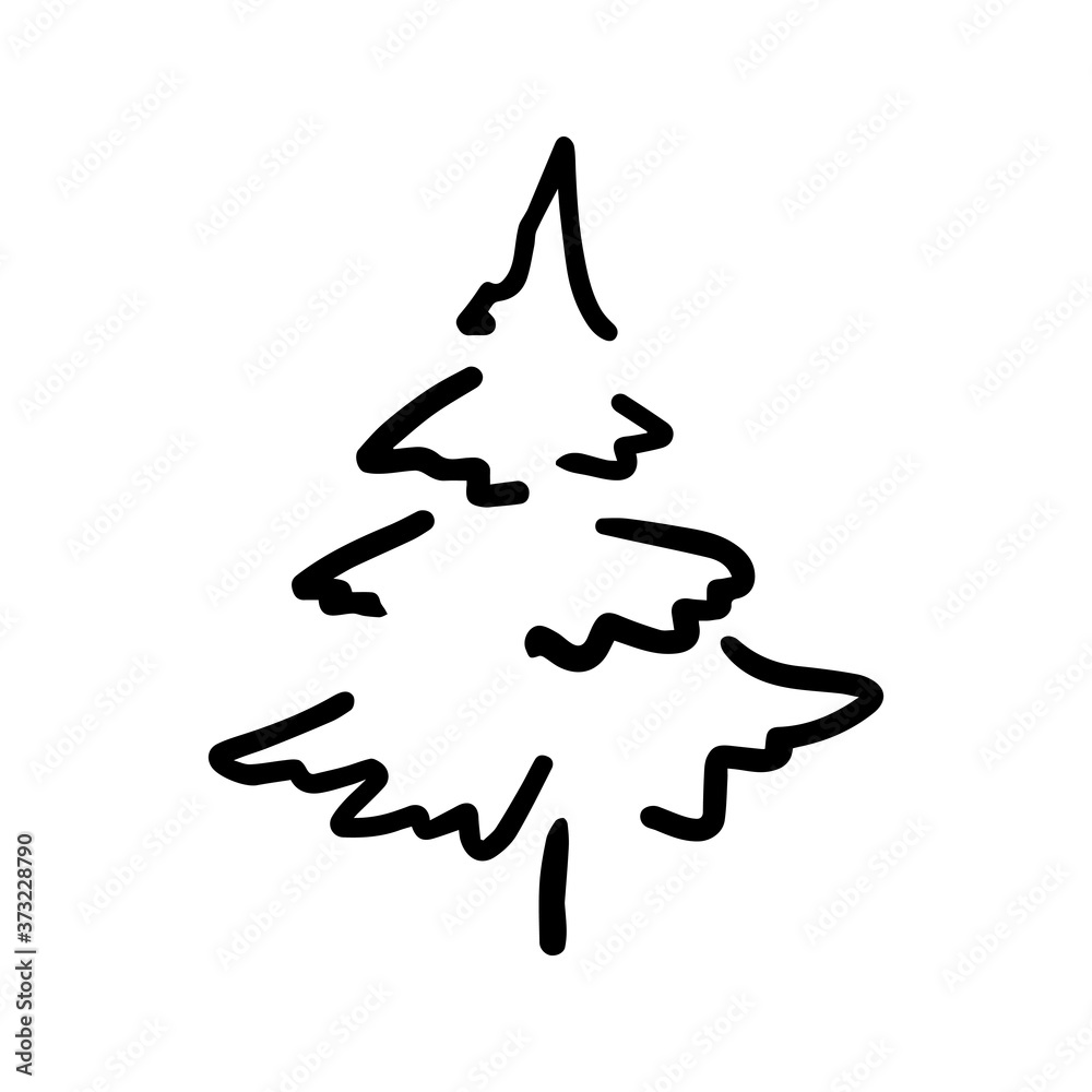 Outline wide spruce isolated on white background. Vector illustration Outline wide spruce isolated on white background. Vector illustration