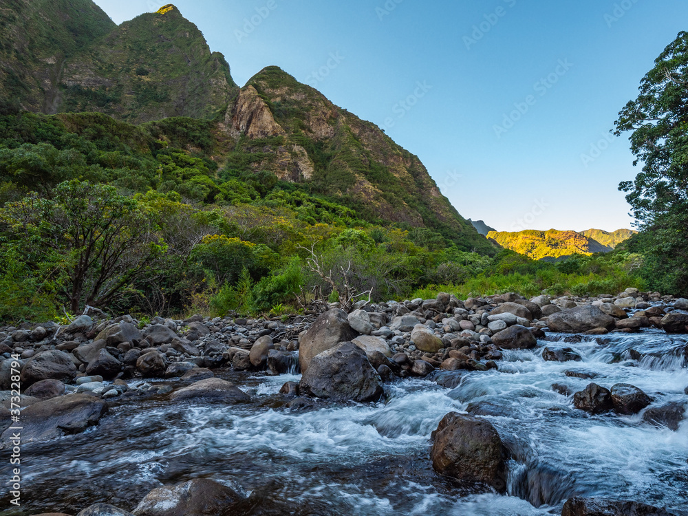 Scenic creek in the beautiful green forest. Hawaii Scenic creek in the beautiful green forest. Hawaii