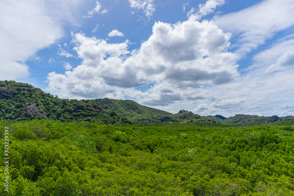 A beautiful scenery of a small mountain covered with tree under a cloudy blue sky.