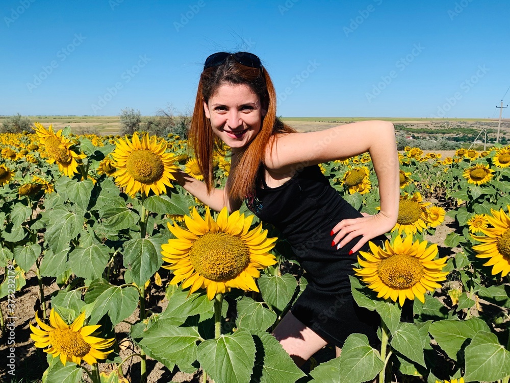 girl in a sunflower field girl in a sunflower field