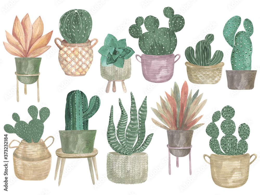Watercolor illustration of a collection of cacti in pots Boho decor modern indoor plants Watercolor illustration of a collection of cacti in pots Boho decor modern indoor plants