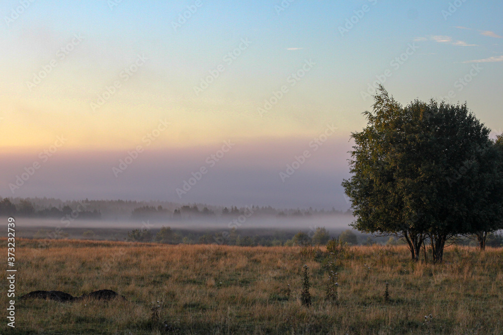 sunrise in the morning