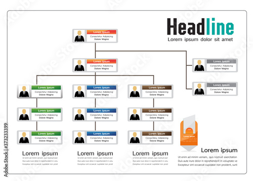 Organization Chart Infographics with People Icon and Abstract Line, Business Structure, Hierarchy of employees, org  Vector Illustration.