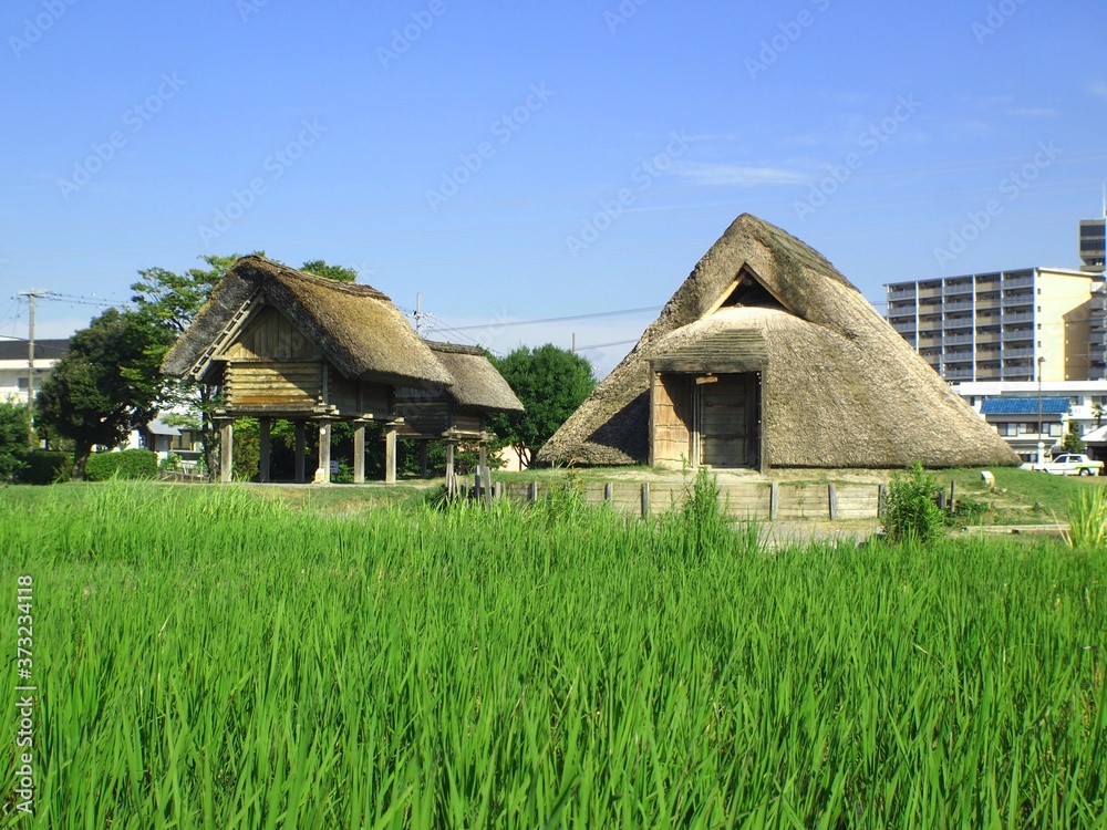 ＜登呂遺跡＞竪穴式住居・高床式倉庫