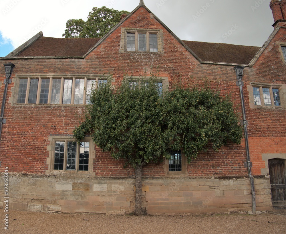 old english village house background texture old english village house background texture