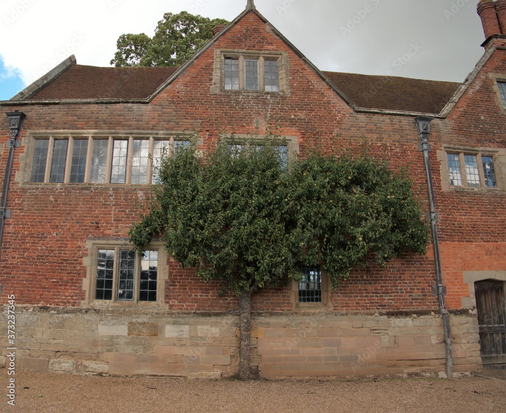 old english village house background texture